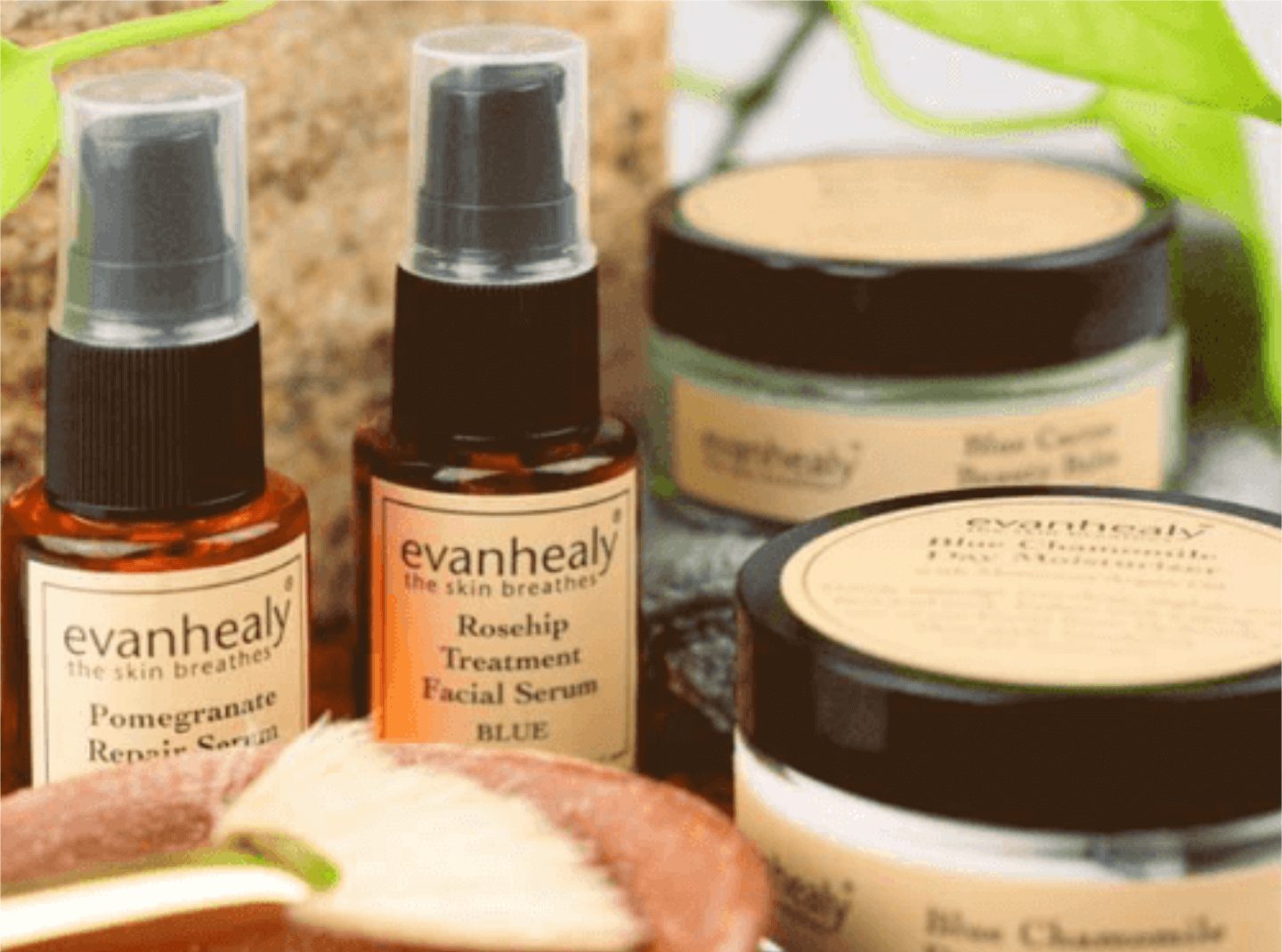 image of evanhealy products
